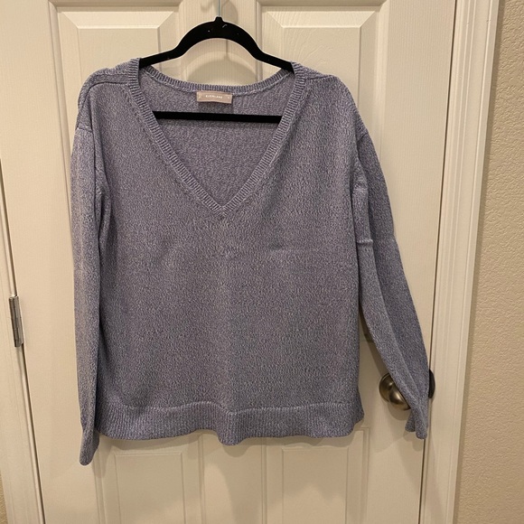 Everlane Sweaters - Everlane Soft Cotton V-Neck Sweater